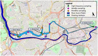 Water Quality Sampling Frequency Analysis of Surface Freshwater: A Case Study on Bristol Floating Harbour